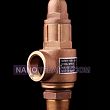 Brass Safty Valve Brass Safty Valve